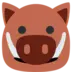 Boar