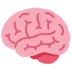 Brain