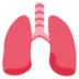 Lungs