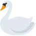 Swan