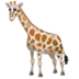 Girafa