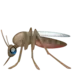 Mosquito