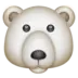 Urso Polar