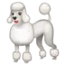 Poodle