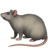 Ratte on Apple