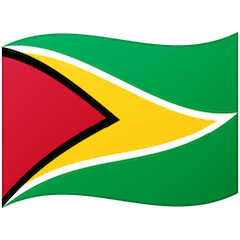 Vlag Van Guyana on Google