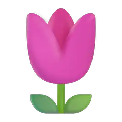 Tulp on Microsoft