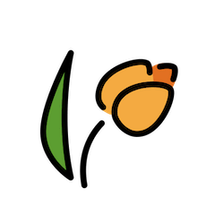 Tulp on Openmoji