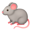 Ratte on Samsung