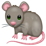 Ratte on WhatsApp