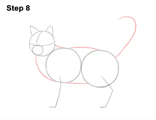 How to Draw a Cat (Calico) VIDEO & Step-by-Step Pictures