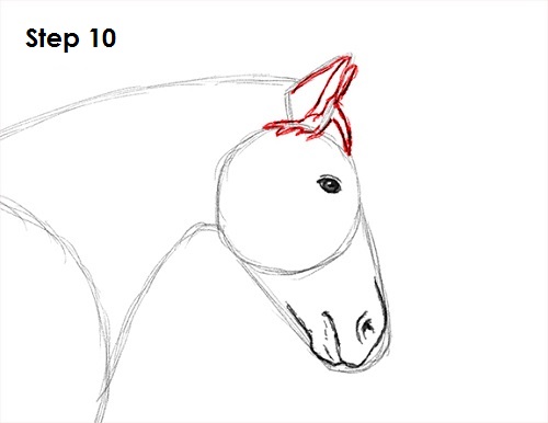 Draw a Horse Jumping 10