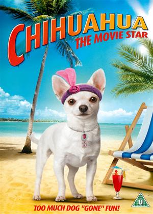 Rent Chihuahua: The Movie Star (aka Chihuahua Too!) Online DVD & Blu-ray Rental