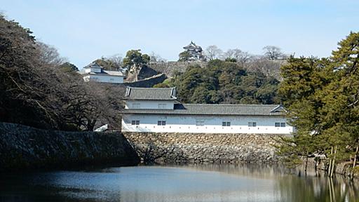 滋賀県彦根市の旧城下町と彦根駅の歴史的な関係　町割がきれいに残った理由は 駅から始まる滋賀の文化財ストーリー　彦根駅前通り～彦根城（滋賀県彦根市）｜文化｜地域のニュース｜京都新聞