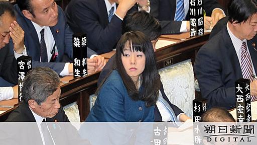 「人権侵犯」認定の杉田水脈氏　自民が党環境部会長代理で調整：朝日新聞デジタル