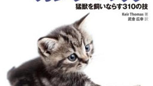 表紙は荒ぶる猫パンチ！ オライリーのOS X解説本『カンフーマック 猛獣を飼いならす310の技』 - はてなニュース