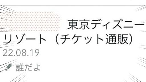 【許さん】知らない人が私のお金でディズニーを楽しもうとしていた話