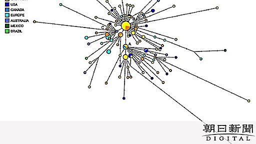 新型コロナは３タイプ　Ａ＝広東省や日本、米、豪　Ｂ＝東アジア　Ｃ＝欧米：朝日新聞デジタル