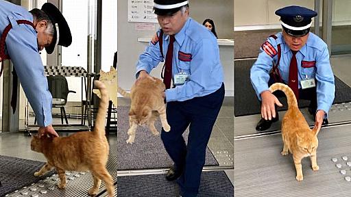 猫と警備員の攻防、まだ続いてた！　美術館の投稿に思わずほっこり… - withnews（ウィズニュース）