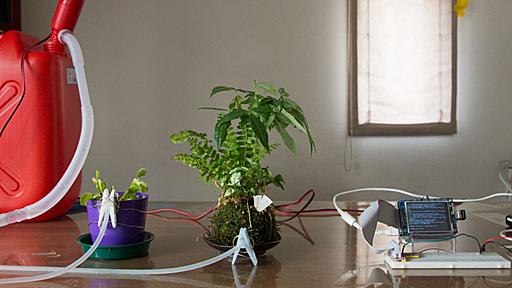 Raspberry PI と Hubot で観葉植物の水やりを自動化する