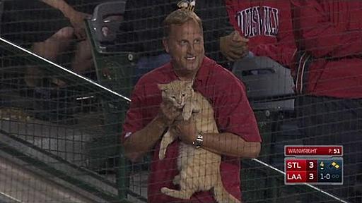 Cat gets loose on the field at Angel Stadium