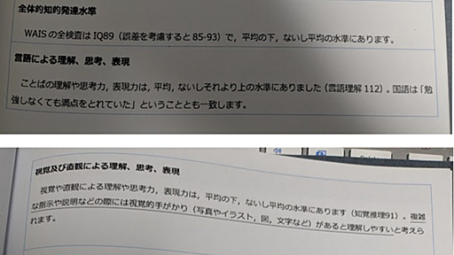 発達障害検査と知能検査の結果 - みんからきりまで