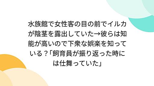 水族館で女性客の目の前でイルカが陰茎を露出していた→彼らは知能が高いので下衆な娯楽を知っている？｢飼育員が振り返った時には仕舞っていた｣