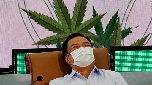 タイ政府、大麻草１００万本を全土の世帯に無料配布