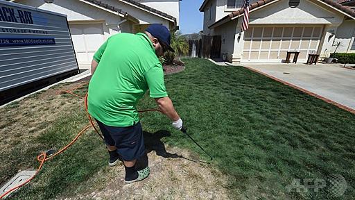 枯れた芝生を緑色に塗る人続出、大干ばつの米カリフォルニア州