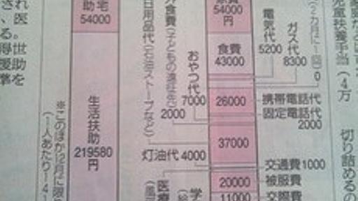 月額29万円の生活保護費を減額されたら暮らしていけない。2児の母子家庭ママが涙ながらに語る : 痛いニュース(ﾉ∀`)