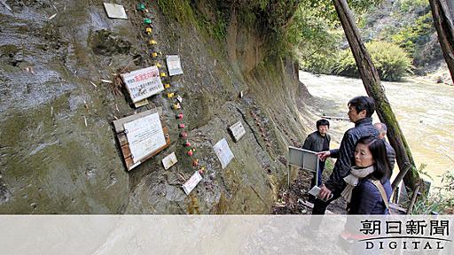 チバニアンがピンチ　反対者が土地押さえ、申請に待った：朝日新聞デジタル