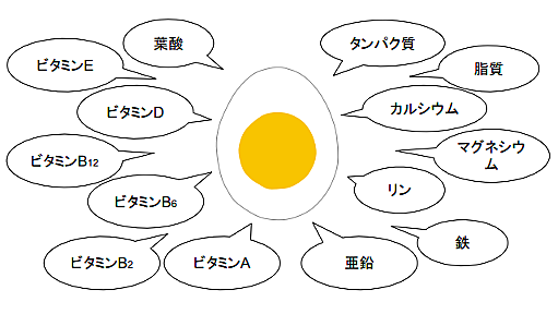 筋トレの効果を最大にするタマゴの正しい食べ方 - リハビリmemo