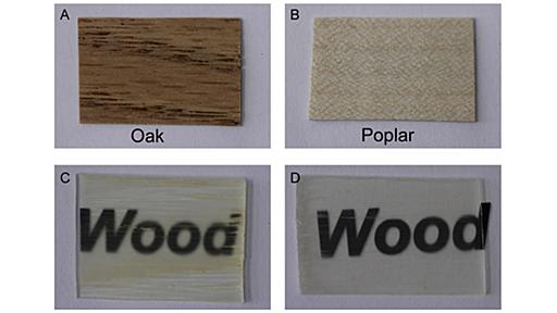 ガラスよりも軽くて丈夫な透明の木材が開発される
