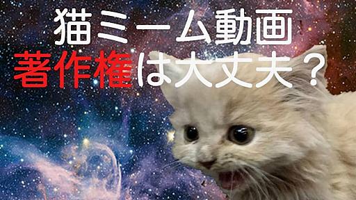 大人気の「猫ミーム」動画、米津玄師さんやグッズまで登場…元ネタの著作権侵害にはあたらないの？ - 弁護士ドットコムニュース