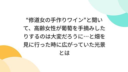 “修道女の手作りワイン”と聞いて、高齢女性が葡萄を手摘みしたりするのは大変だろうに…と畑を見に行った時に広がっていた光景とは