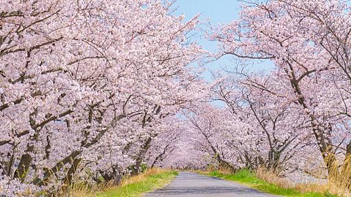 【アラサー】私と初恋とaikoの歌　前編【音楽、恋愛、青春】 - 雪とユキ　一姫二太郎の父やらせてもろてます