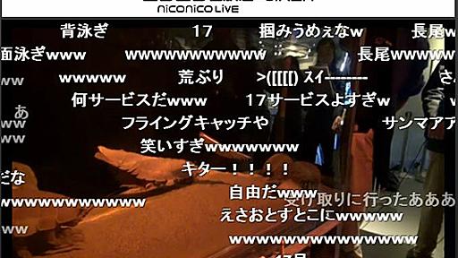 鳥羽水族館のダイオウグソクムシ「17号」死亡　お正月のニコ生で唯一エサを食べた個体