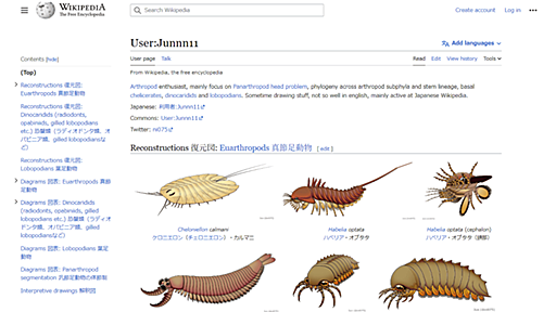 日本語版Wikipediaの編集者で節足動物のイラストを描きまくっている人物「Junnn11」が海外サイトで注目を集める