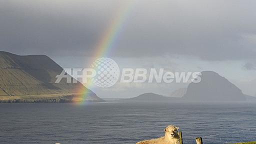 ちょこっと旅気分、ヒツジが草はむフェロー諸島