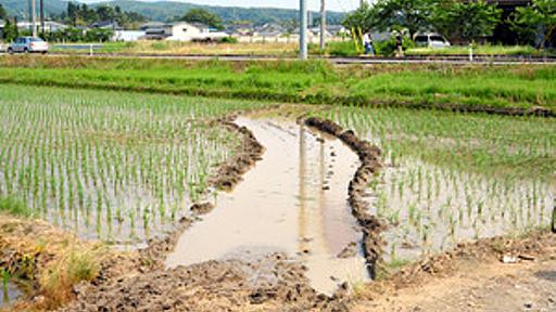 早く当選証書を…慌てた町長、田んぼに突っ込む　新潟：朝日新聞デジタル