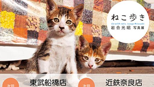 岩合光昭さんの「ねこ歩き」グッズ、Amazonで購入可能に　東西で写真展も開催 - はてなニュース