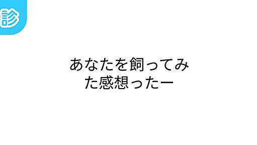 あなたを飼ってみた感想ったー [名前診断]