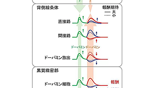 「最近の成功経験」が行動に関わる脳部位の活動を高めると判明－東京医歯大ほか | QLifePro