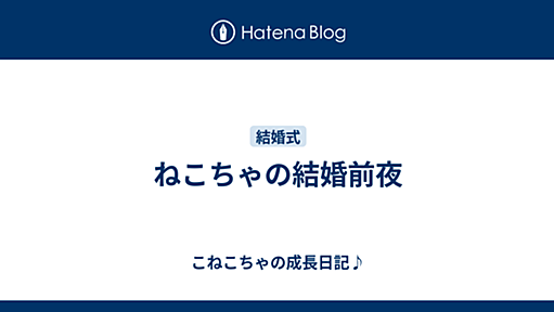 ねこちゃの結婚前夜 - こねこちゃの成長日記♪