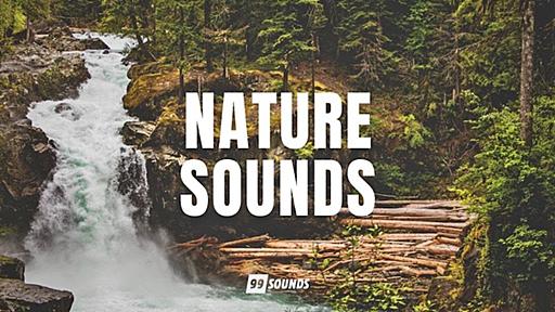 【無料】台湾で収録された自然環境音ライブラリ、99Sounds「Nature Sounds」無償配布開始！ | Computer Music Japan