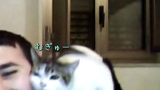 うらやましすぎる！猫のラブラブ攻撃に顔がゆるみっぱなしの男性（動画） : らばQ