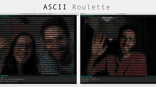 GitHub - dialup-inc/ascii: 👾 ASCII Roulette :: ascii art video chat on the cli