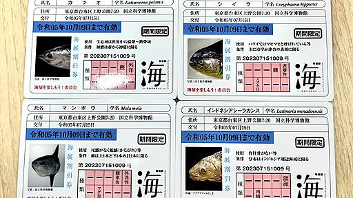 国立科学博物館“海展”の割引券が“魚の免許証風”でユニーク　「おもしろすぎる」「何これ欲しい」