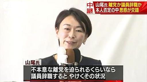 山尾議員「私は絶対に不倫なんてしてないのに執行部が信じてくれない！議員辞職してやる！」 : 痛いニュース(ﾉ∀`)