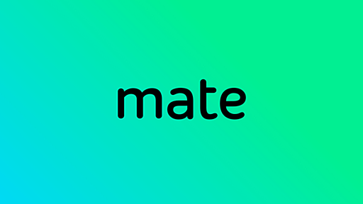 Learn languages while watching Netflix with Mate